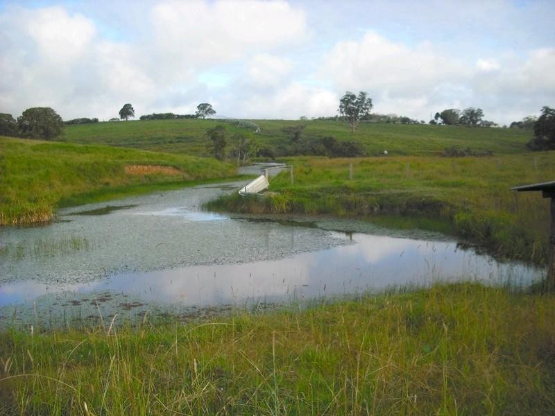 Lake Eacham QLD 4884
