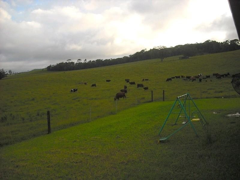 Lake Eacham QLD 4884