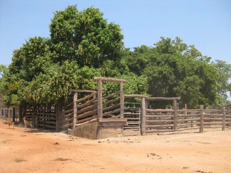 Laura QLD 4871