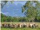 Cooktown QLD 4895