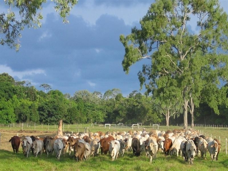 Cooktown QLD 4895