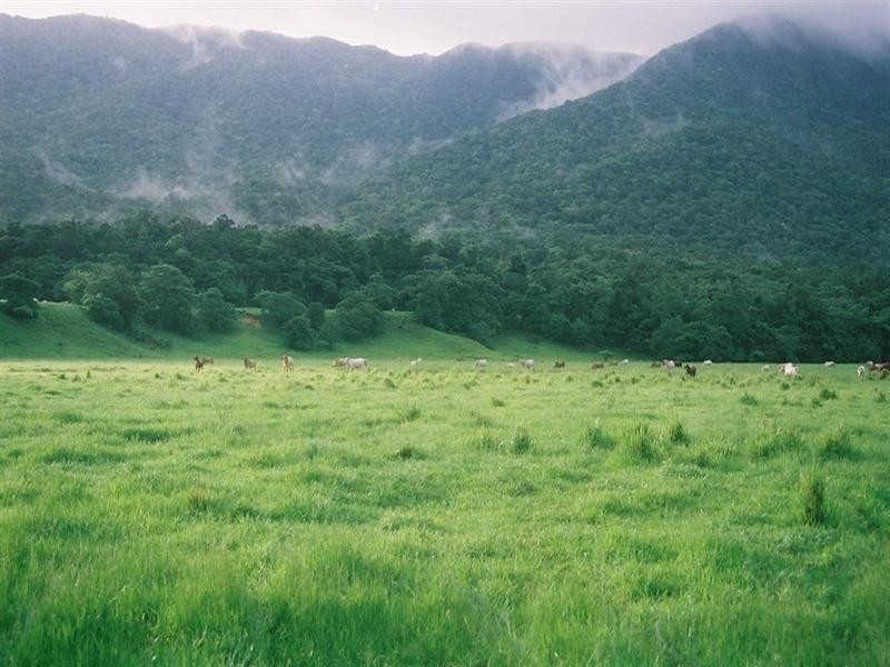 Cooktown QLD 4895