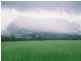 Cooktown QLD 4895