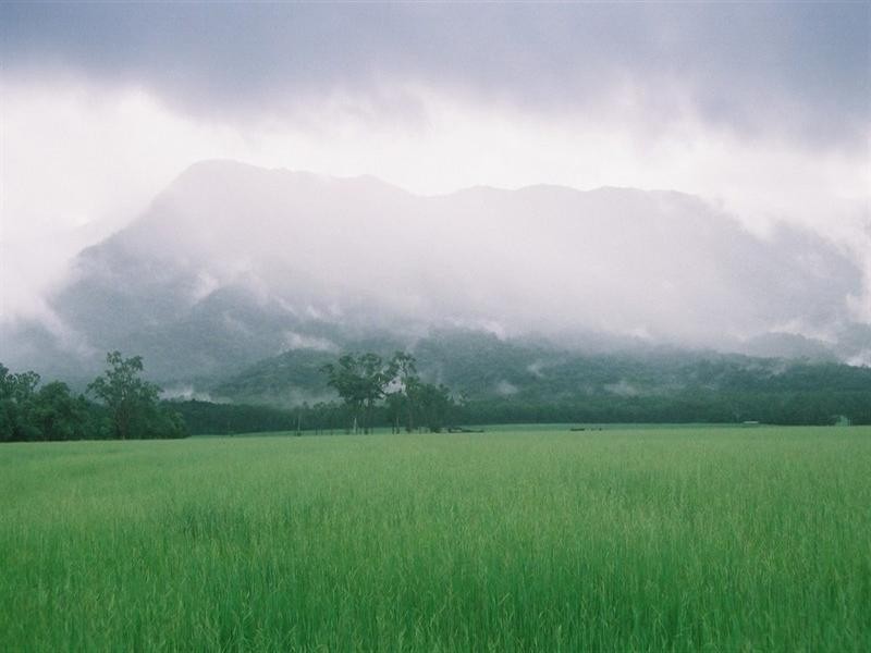 Cooktown QLD 4895