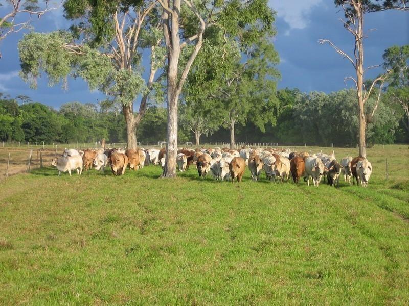 Cooktown QLD 4895