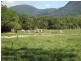Cooktown QLD 4895
