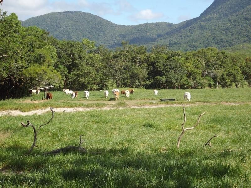 Cooktown QLD 4895