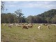 Cooktown QLD 4895