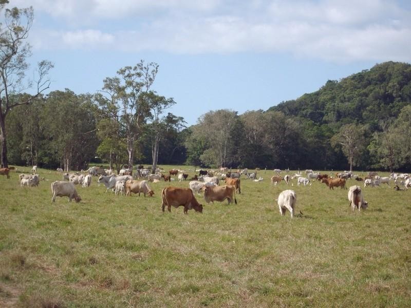 Cooktown QLD 4895