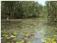 Cooktown QLD 4895