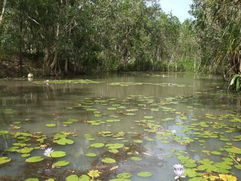 Cooktown QLD 4895