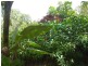 Cooktown QLD 4895