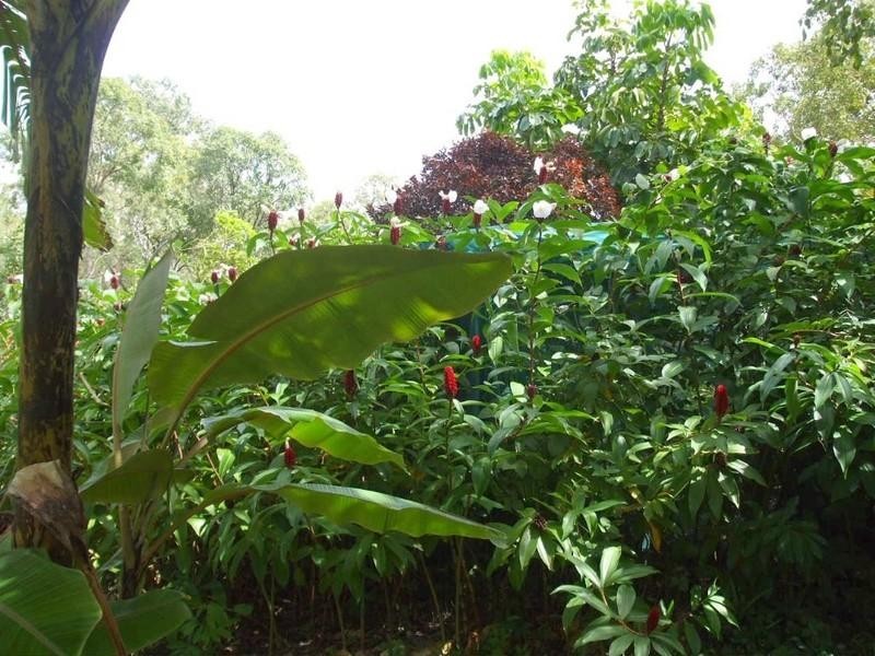 Cooktown QLD 4895