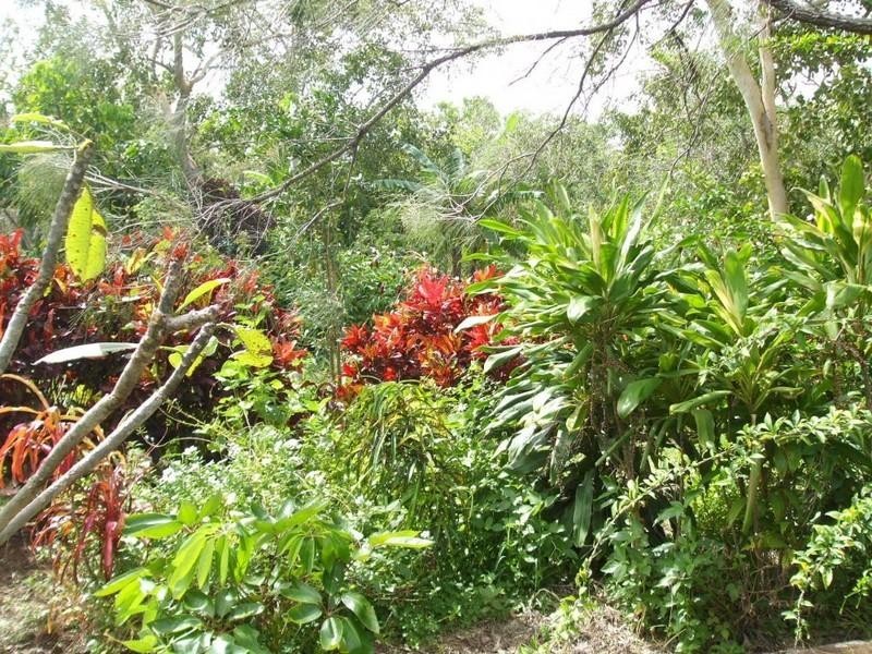 Cooktown QLD 4895