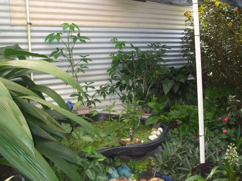 Cooktown QLD 4895
