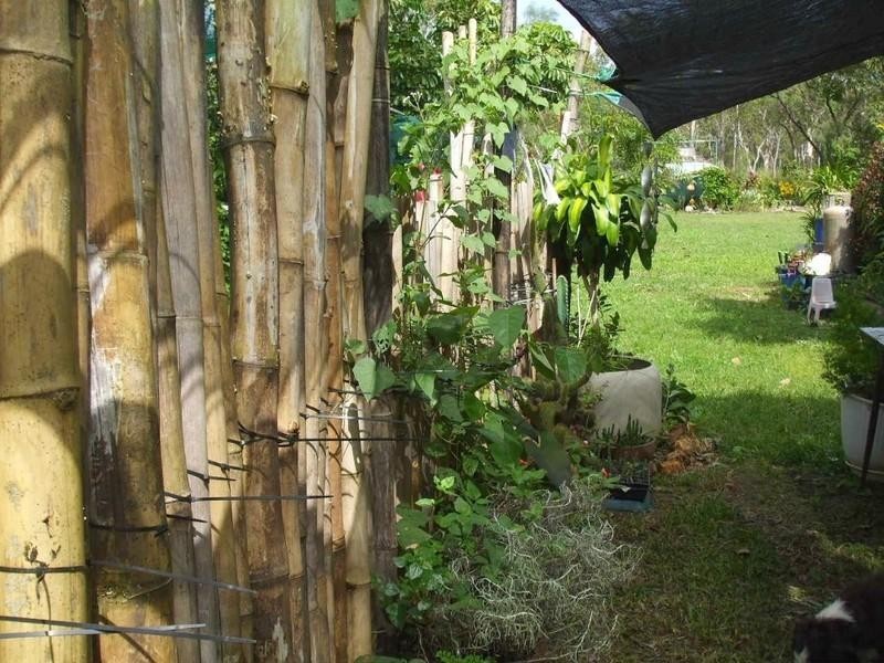 Cooktown QLD 4895