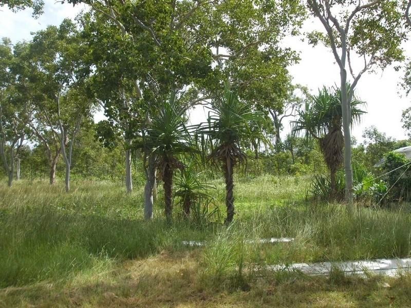 Cooktown QLD 4895