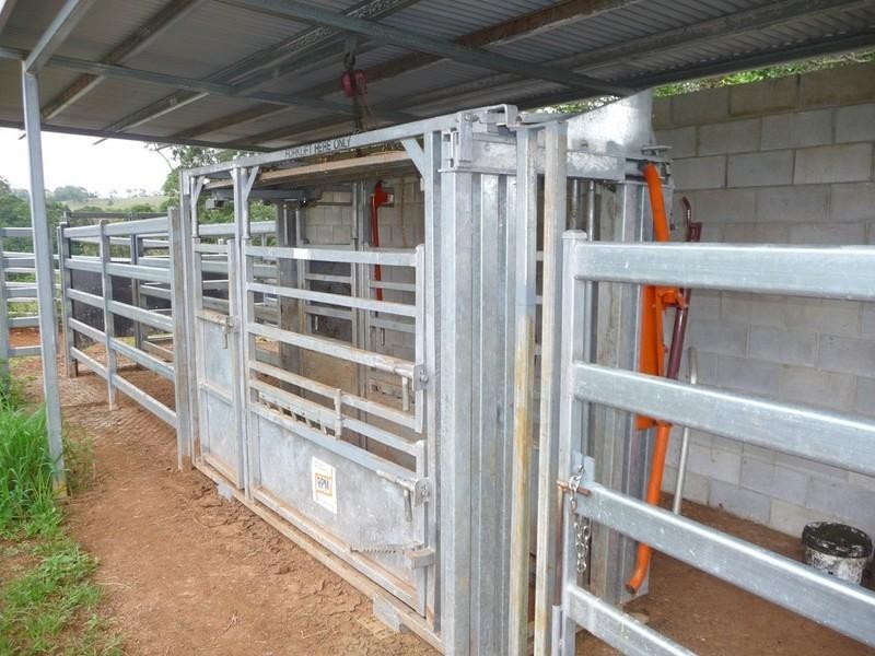 Tarzali QLD 4885