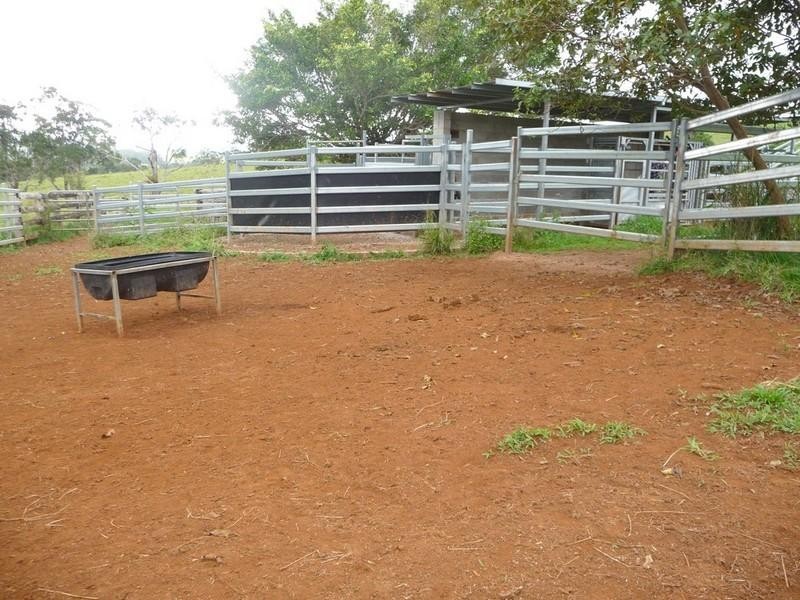 Tarzali QLD 4885
