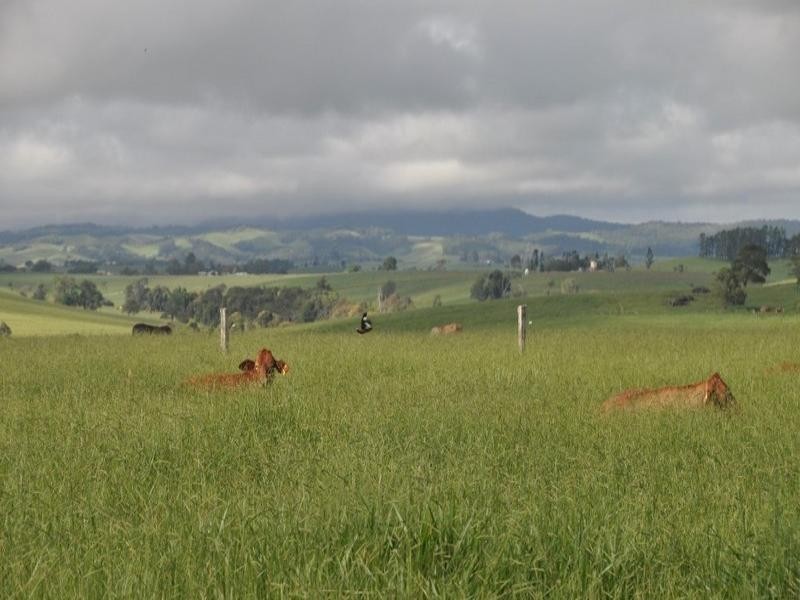 Atherton QLD 4883