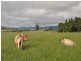 Atherton QLD 4883