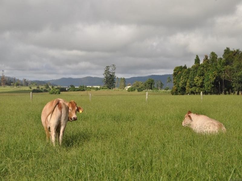 Atherton QLD 4883