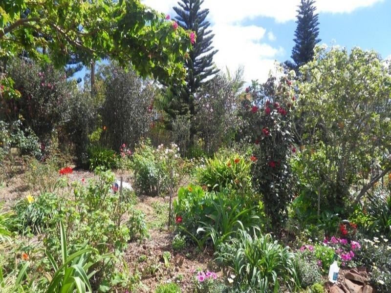 Tolga QLD 4882