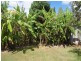 Tolga QLD 4882
