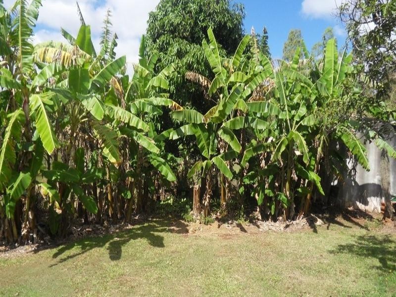 Tolga QLD 4882