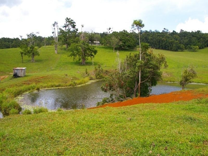 Lake Eacham QLD 4884