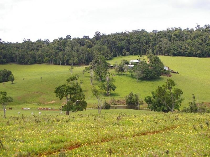 Lake Eacham QLD 4884