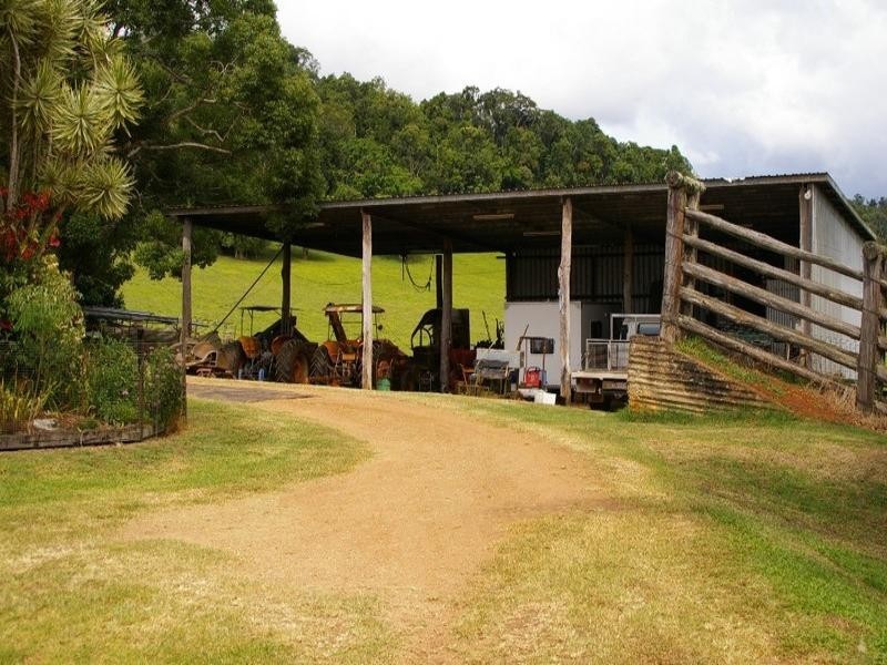 Lake Eacham QLD 4884