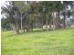 Lake Eacham QLD 4884