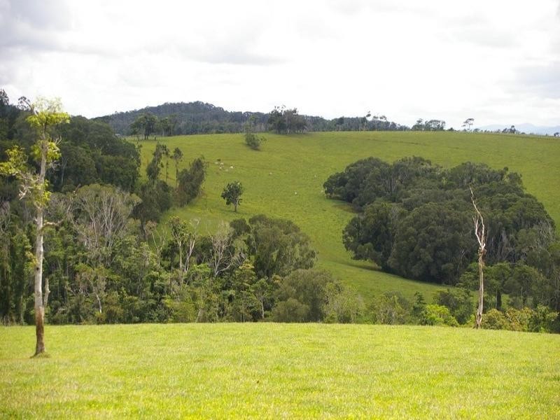 Lake Eacham QLD 4884