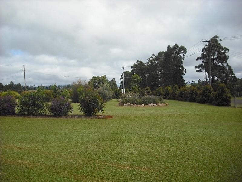 Lake Eacham QLD 4884