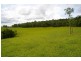 Lake Eacham QLD 4884