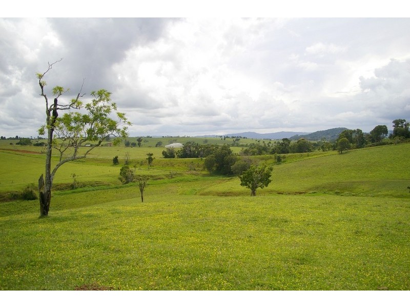 Lake Eacham QLD 4884