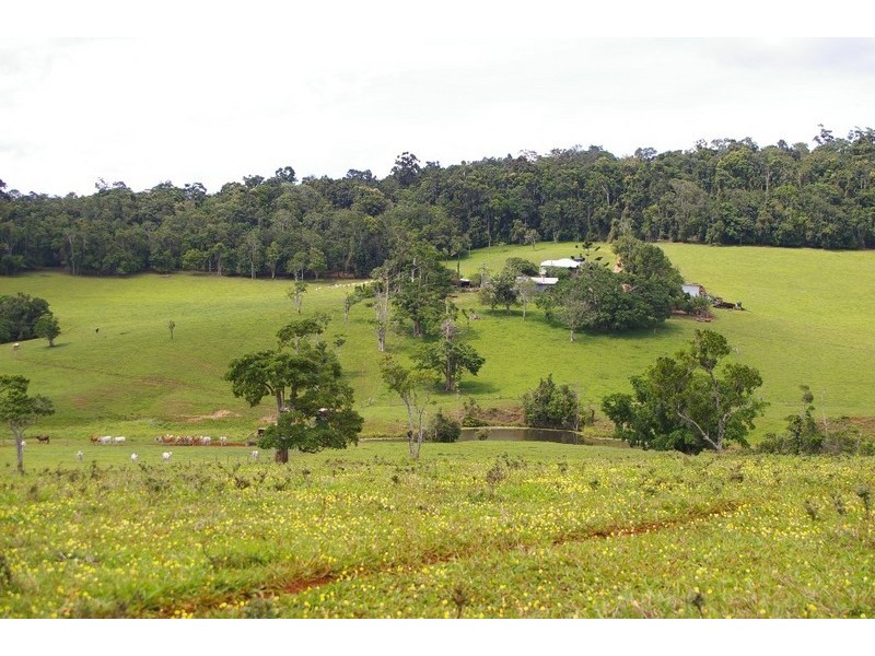Lake Eacham QLD 4884