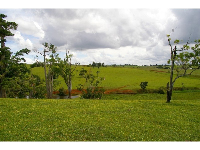 Lake Eacham QLD 4884
