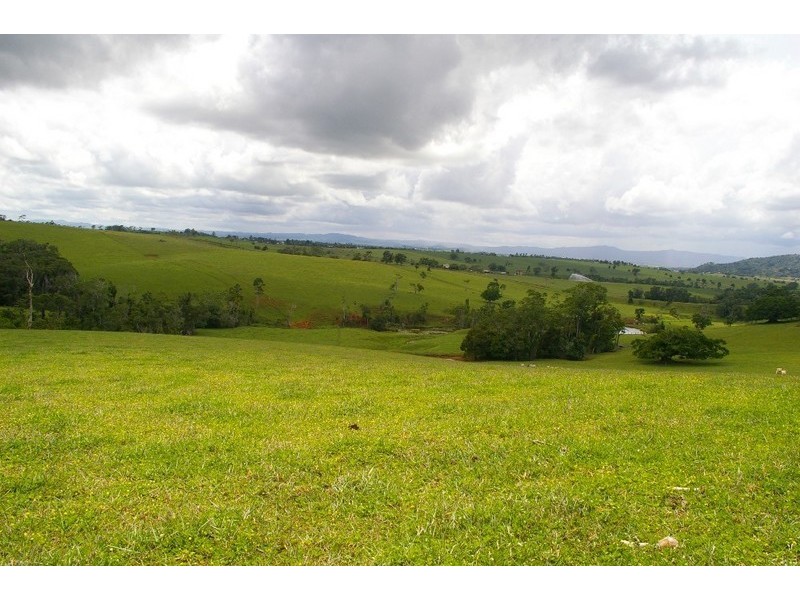 Lake Eacham QLD 4884
