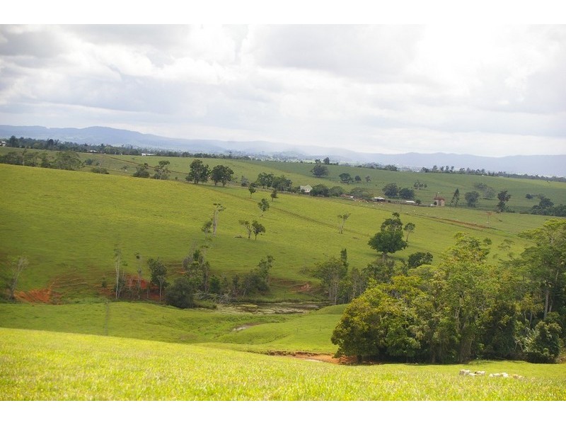 Lake Eacham QLD 4884