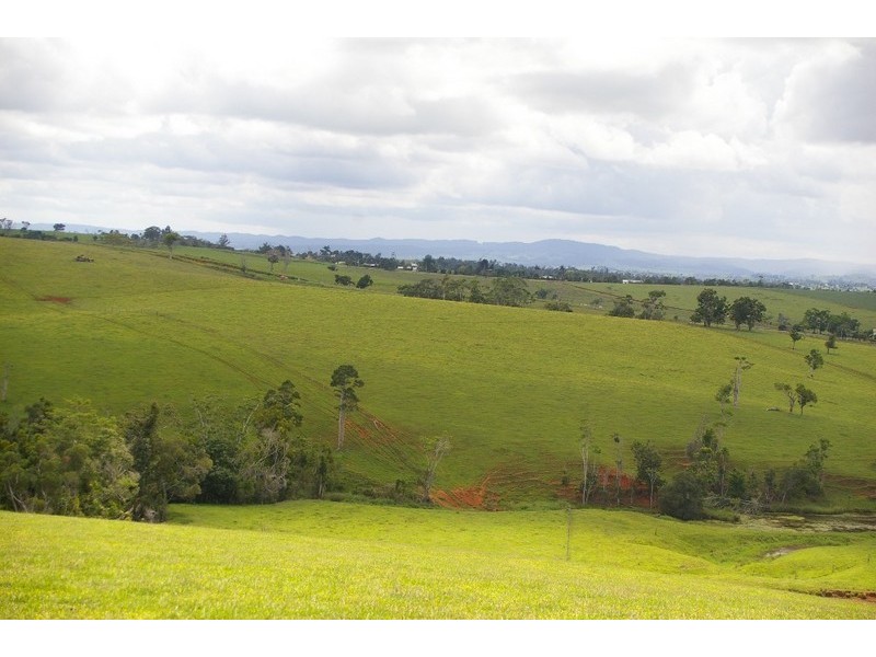 Lake Eacham QLD 4884