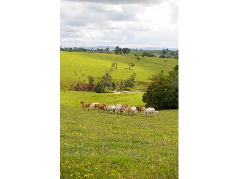 Lake Eacham QLD 4884