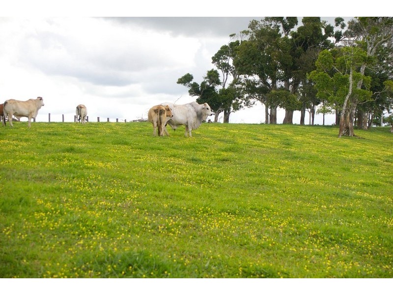 Lake Eacham QLD 4884