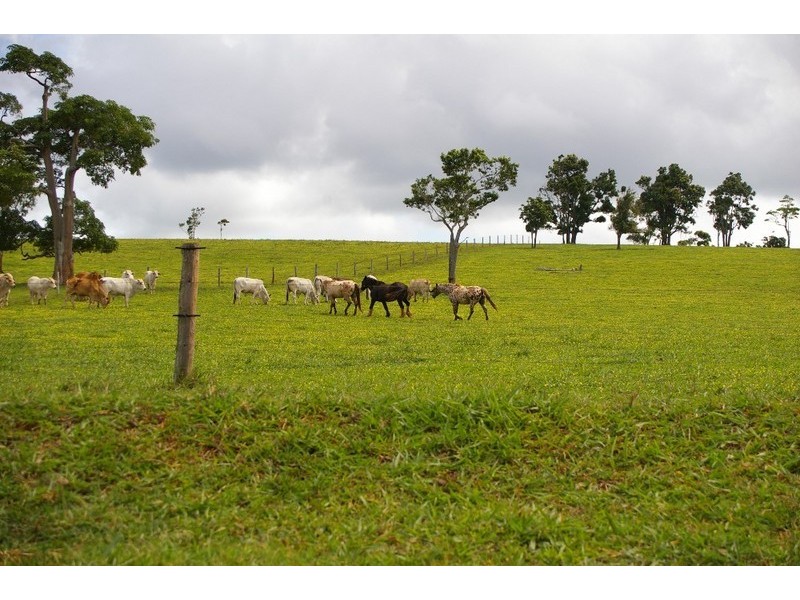 Lake Eacham QLD 4884