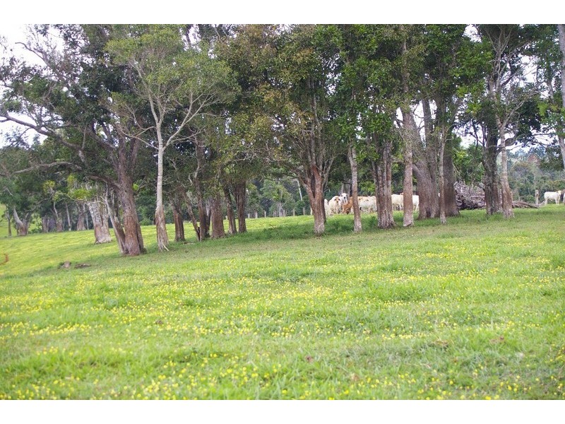 Lake Eacham QLD 4884