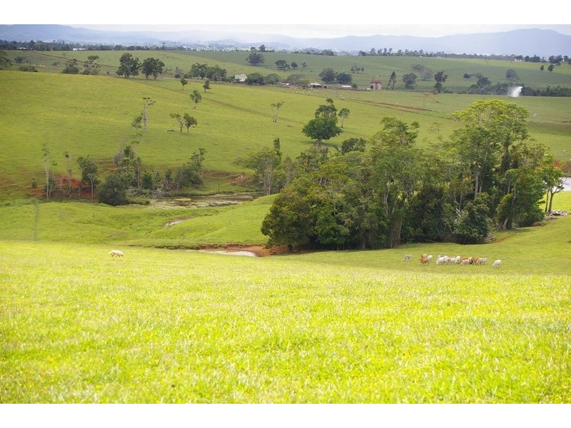 Lake Eacham QLD 4884