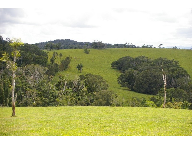 Lake Eacham QLD 4884