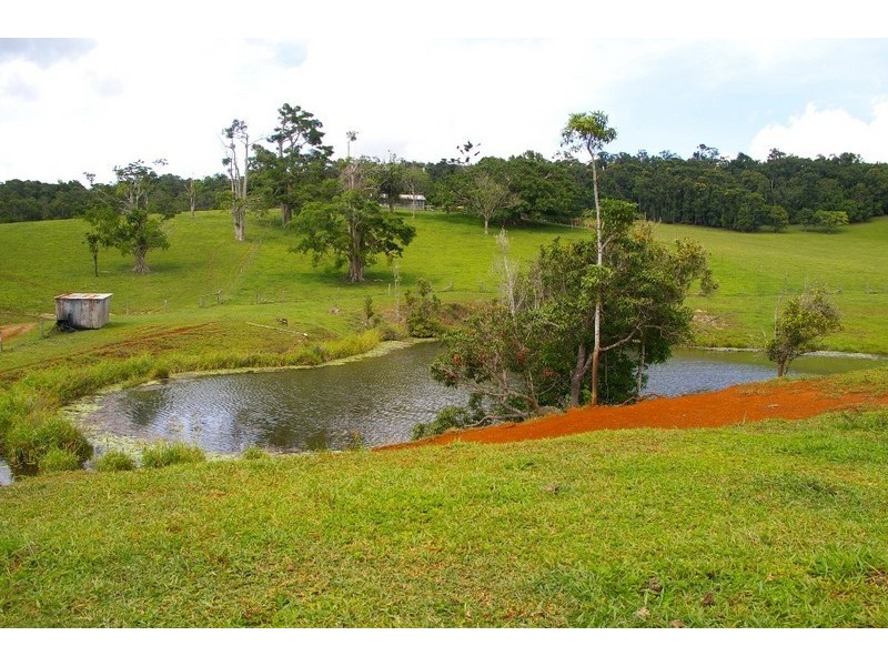 Lake Eacham QLD 4884