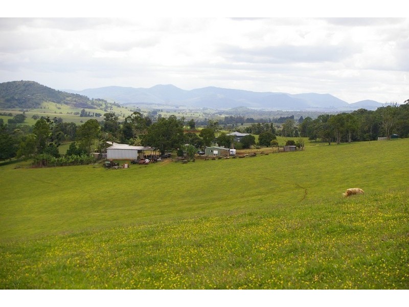 Lake Eacham QLD 4884